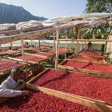 From the Heart of Uganda to Your Cup: Experience Coffee the Zawadi Eats Way